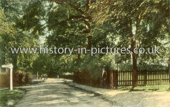 The Cross Roads, Marden Ash, Essex. c.1909